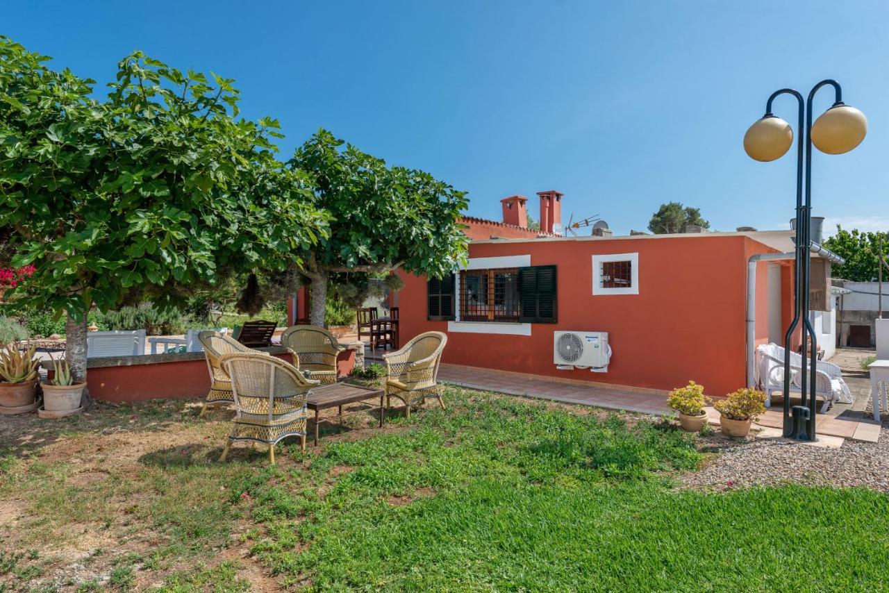 Calafat Santa Margalida
