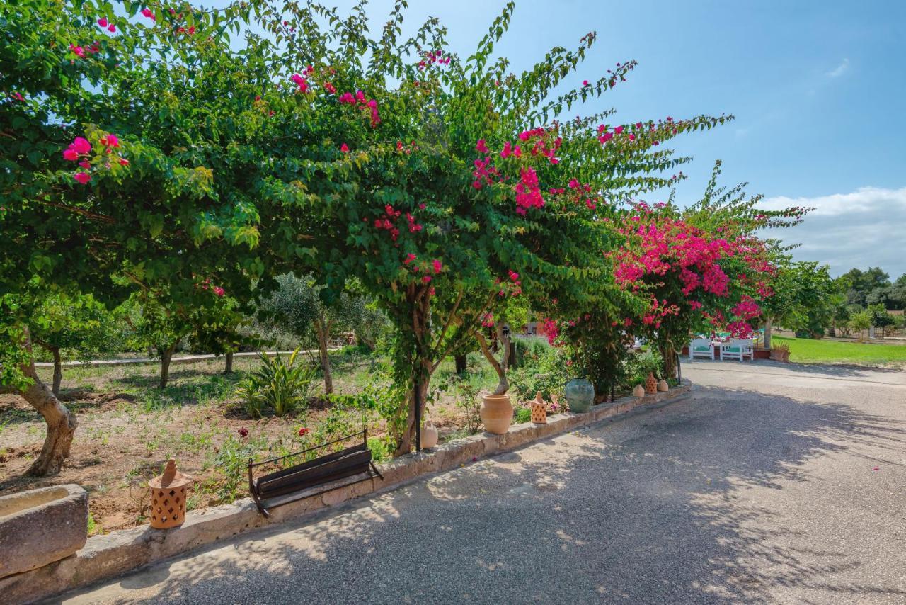Calafat Santa Margalida